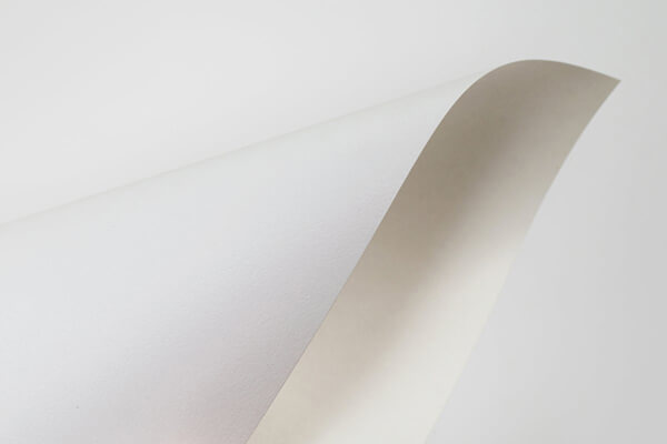 Martele White WS AP FSC