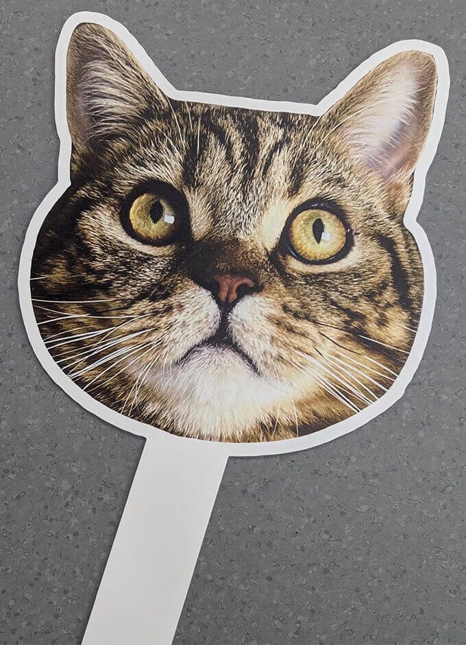 таблички на замовлення будь-якої форми